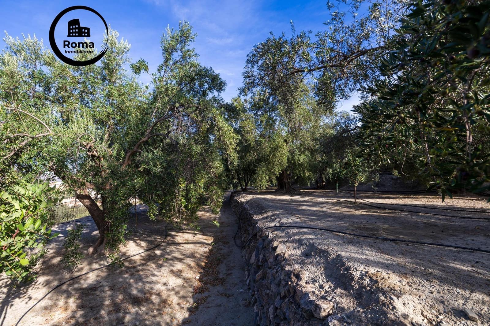 Grond te koop in Lecrin - € 140.000 (Ref: 9414239)