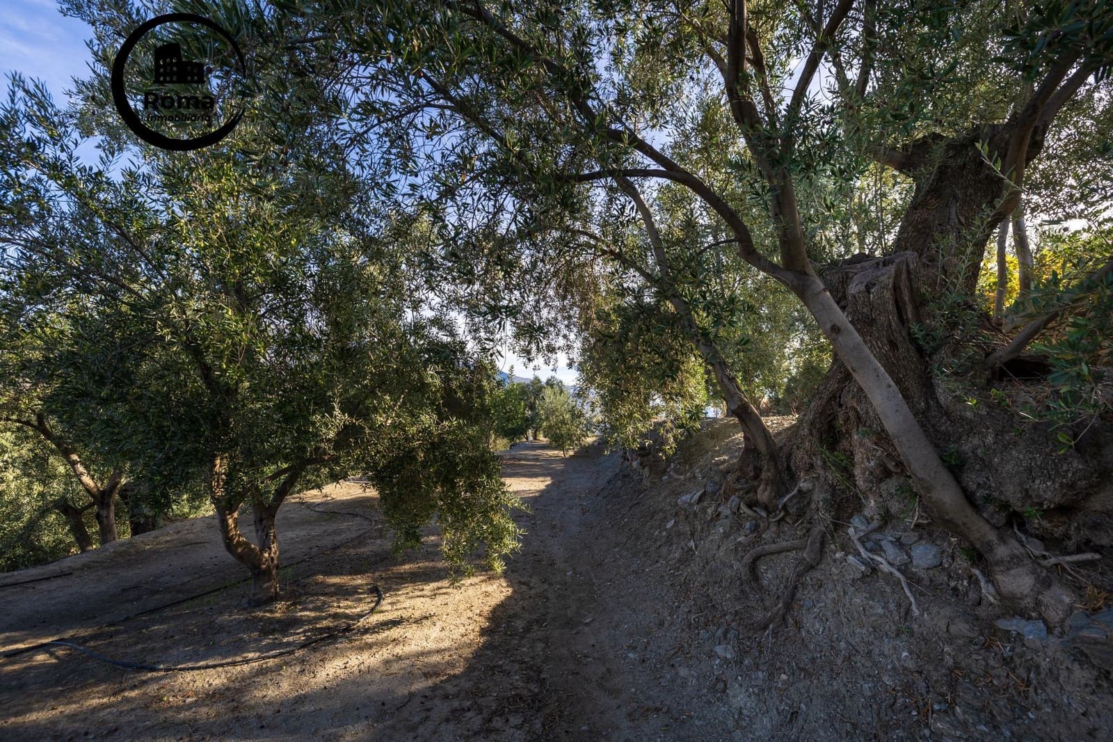 Grond te koop in Lecrin - € 140.000 (Ref: 9414239)