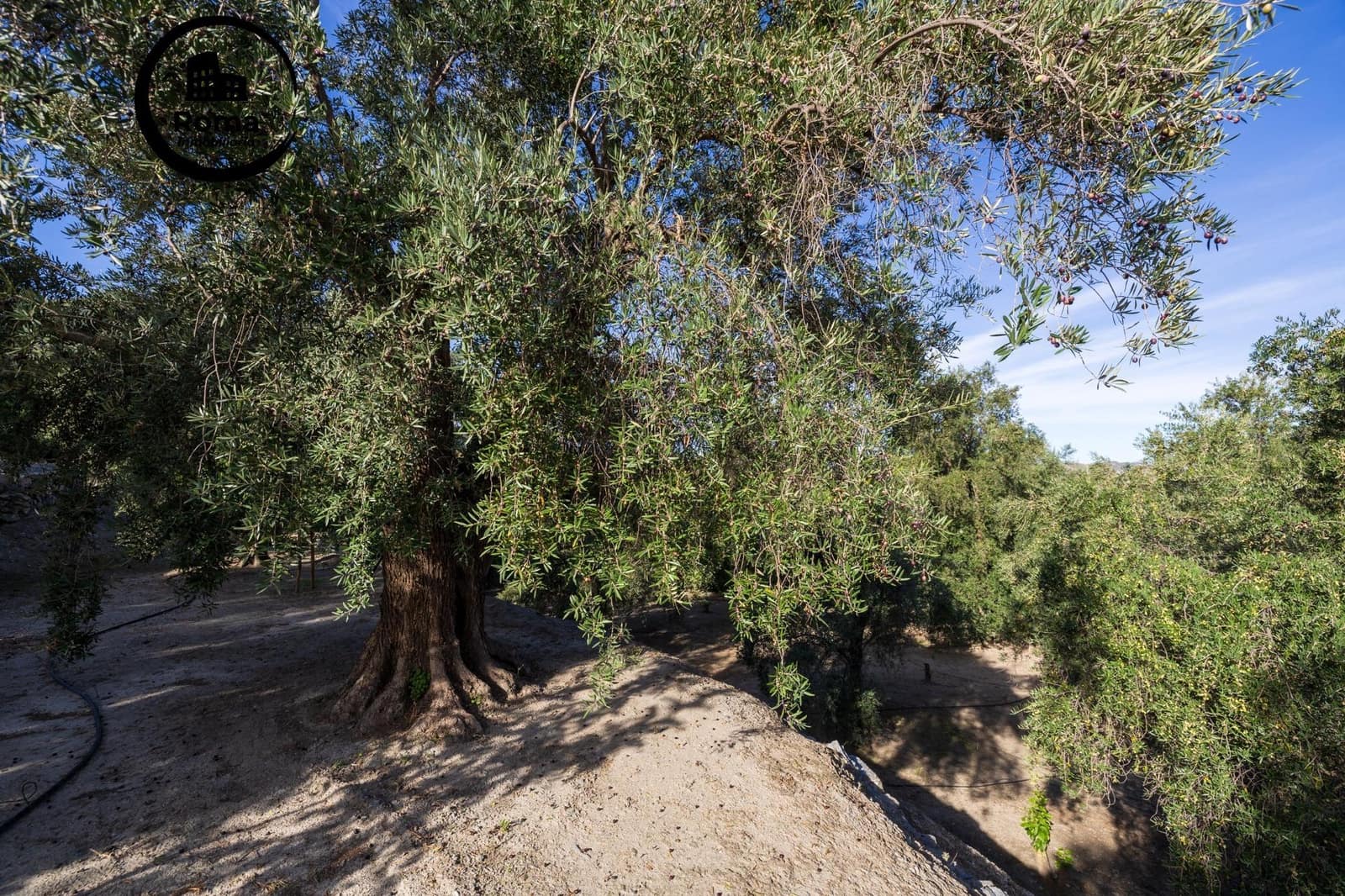 Grond te koop in Lecrin - € 140.000 (Ref: 9414239)