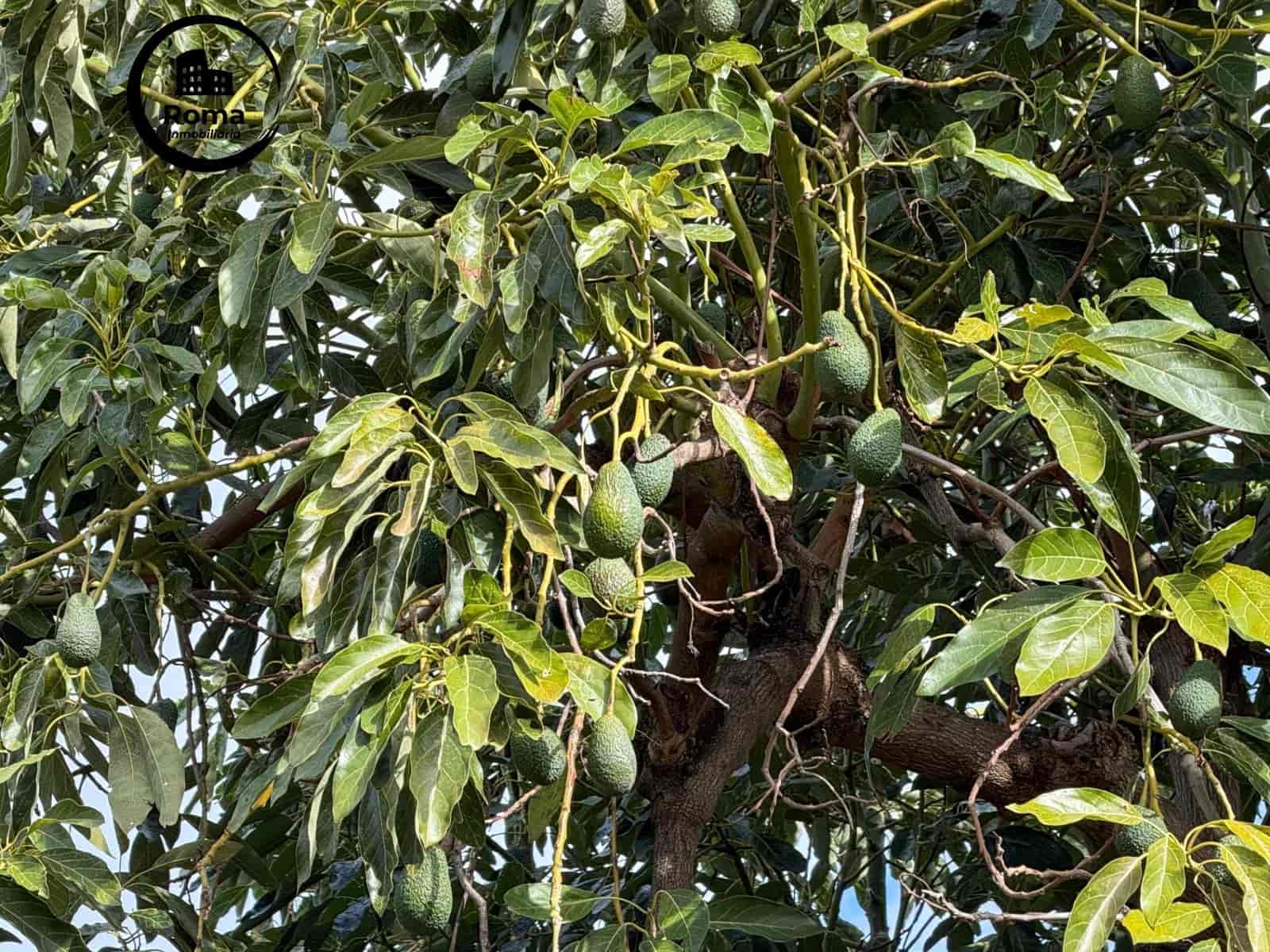 1 slaapkamer Finca/Landhuis te koop in Los Guajares met garage - € 89.900 (Ref: 9419904)