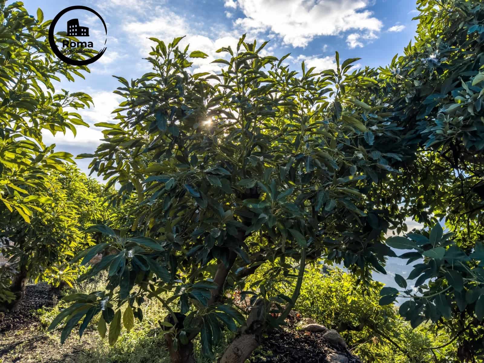 1 camera da letto Finca/Casa di Campagna in vendita in Los Guajares con garage - 89.900 € (Rif: 9435140)