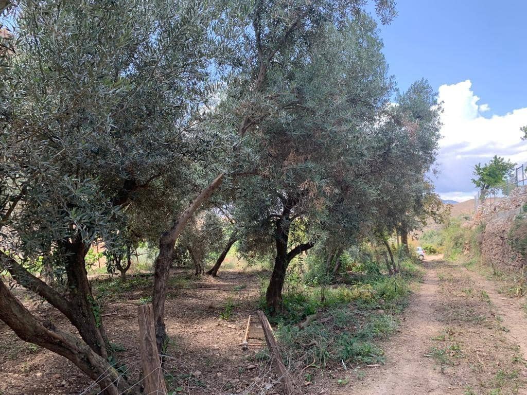 Grunde uden byggetilladelser til salg i Lanjaron - € 79.900 (Ref: 9440687)