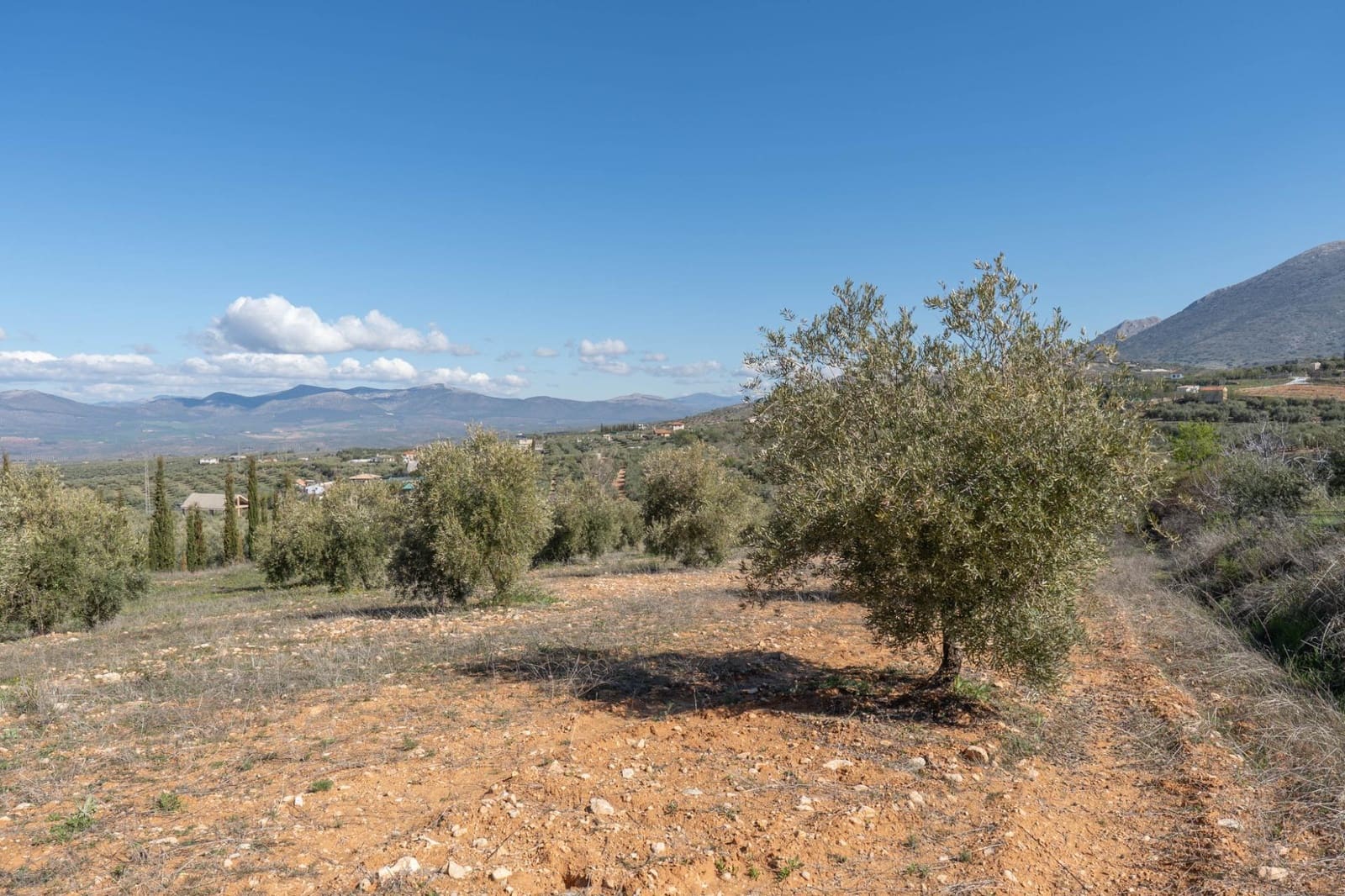 Ubebygd land til salgs i Cogollos Vega - € 60 000 (Ref: 9440693)