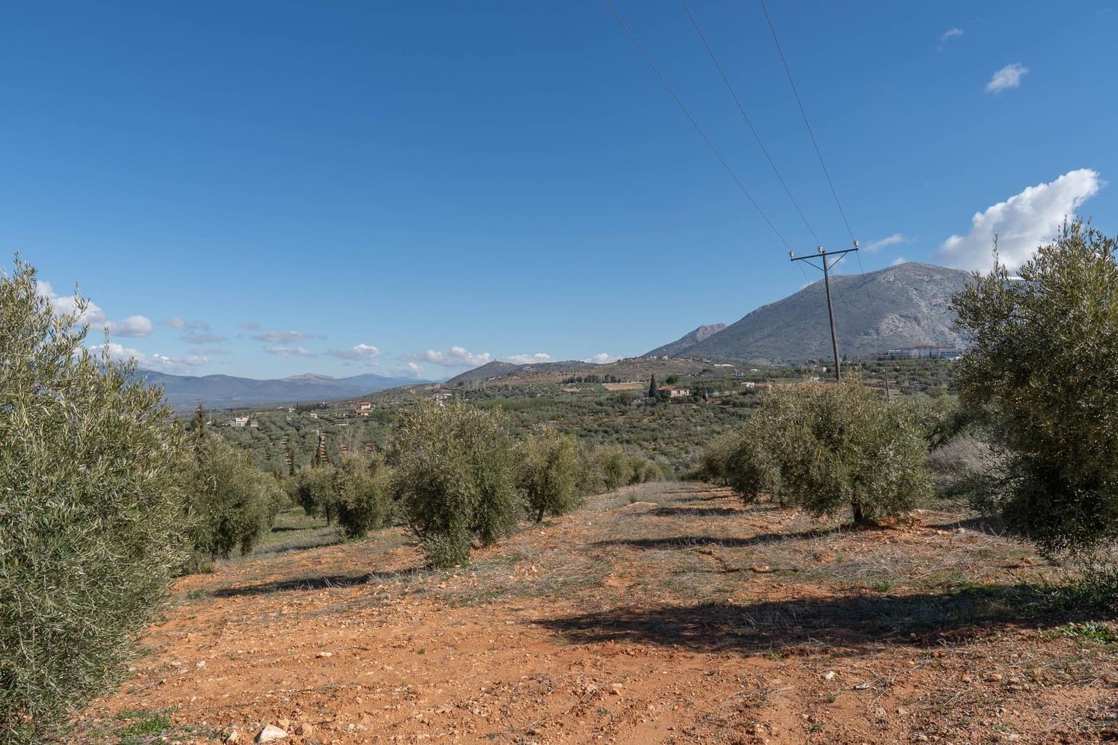 Ubebygd land til salgs i Cogollos Vega - € 60 000 (Ref: 9440693)