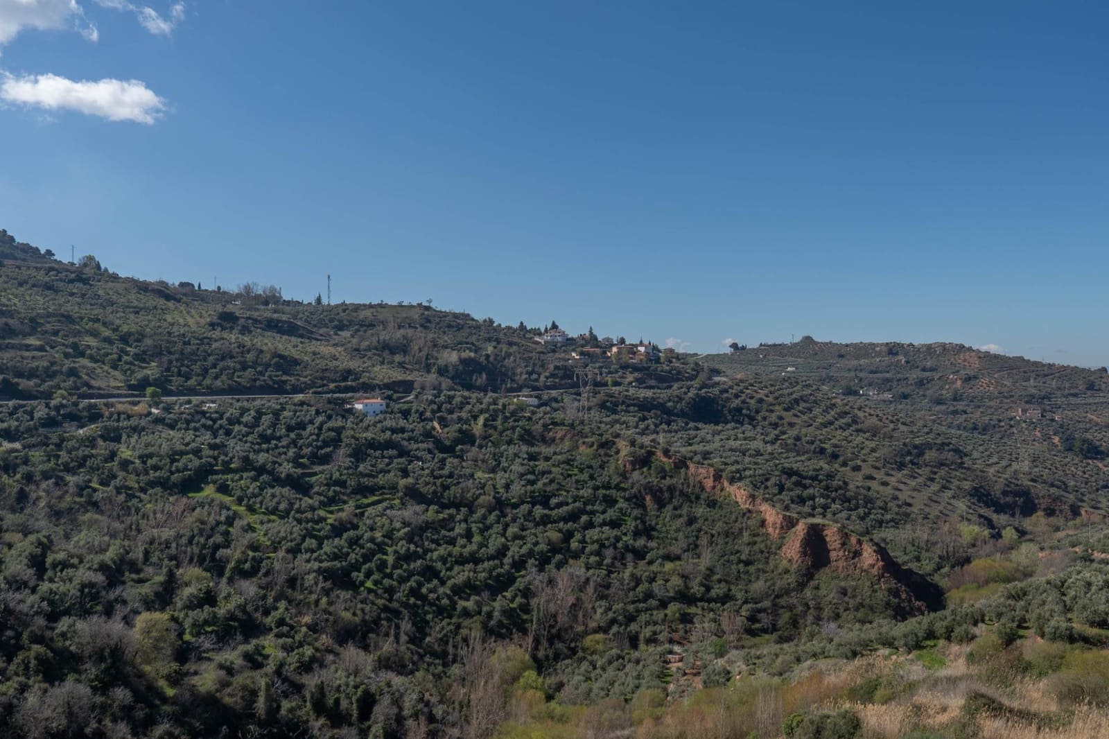 Ubebygd land til salgs i Cogollos Vega - € 60 000 (Ref: 9440693)