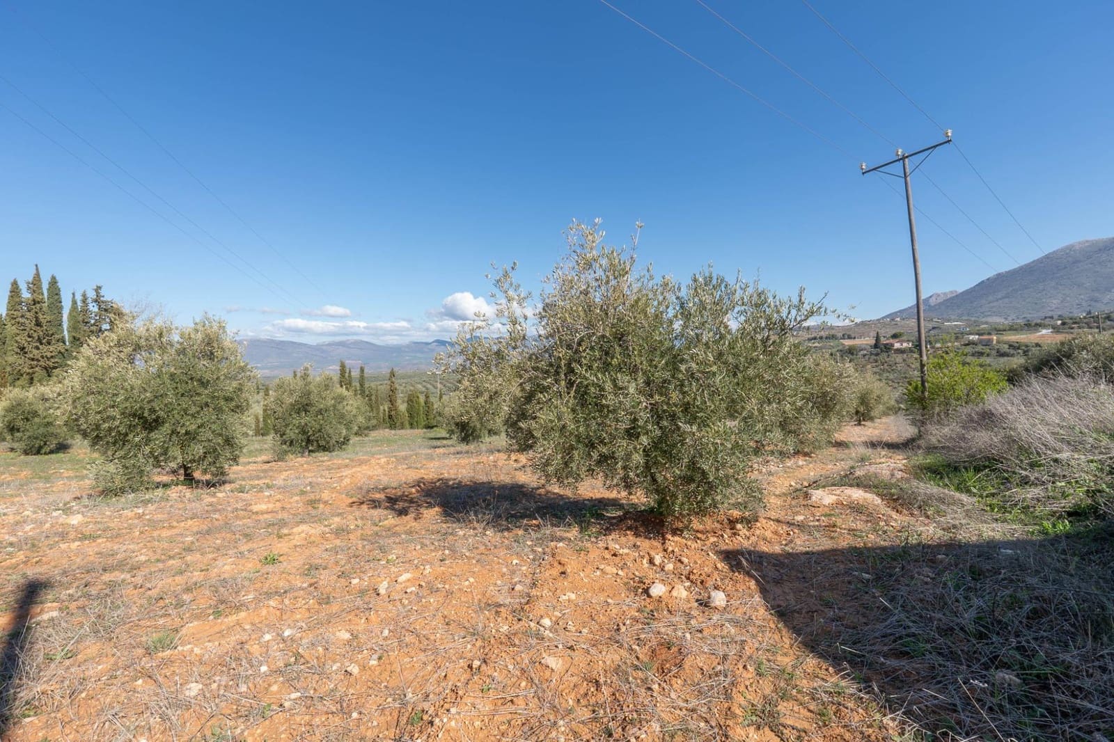 Ubebygd land til salgs i Cogollos Vega - € 60 000 (Ref: 9440693)