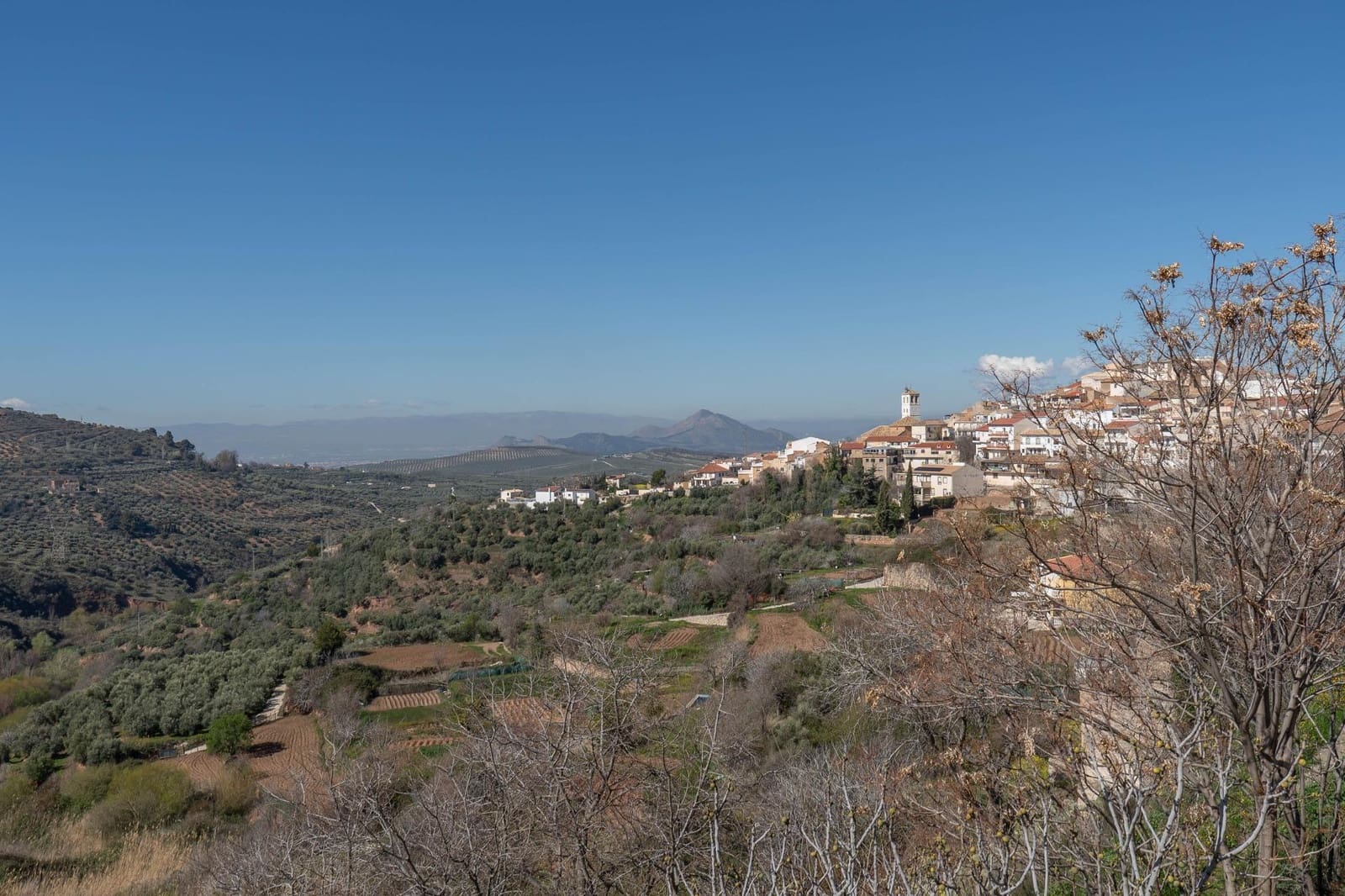 Ubebygd land til salgs i Cogollos Vega - € 60 000 (Ref: 9440693)