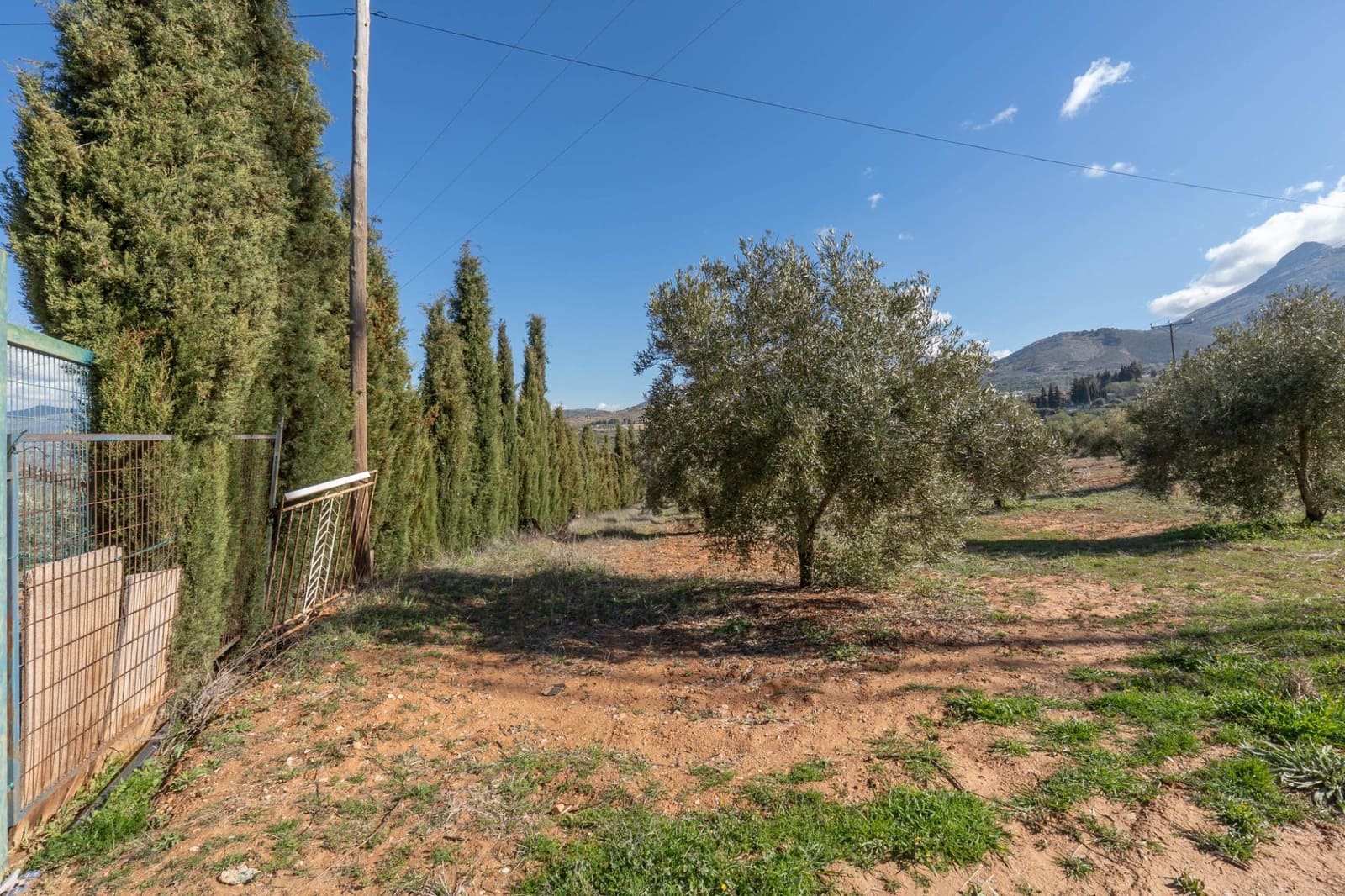 Ubebygd land til salgs i Cogollos Vega - € 60 000 (Ref: 9440693)