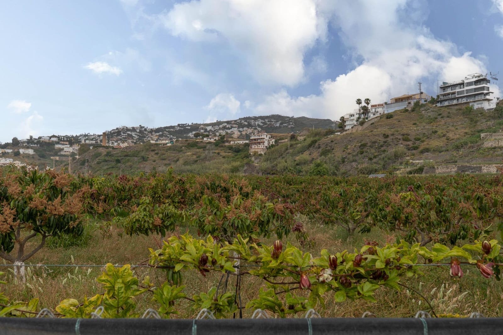 Działka budowlana na sprzedaż w Salobrena - 2 000 000 € (Ref: 9440695)