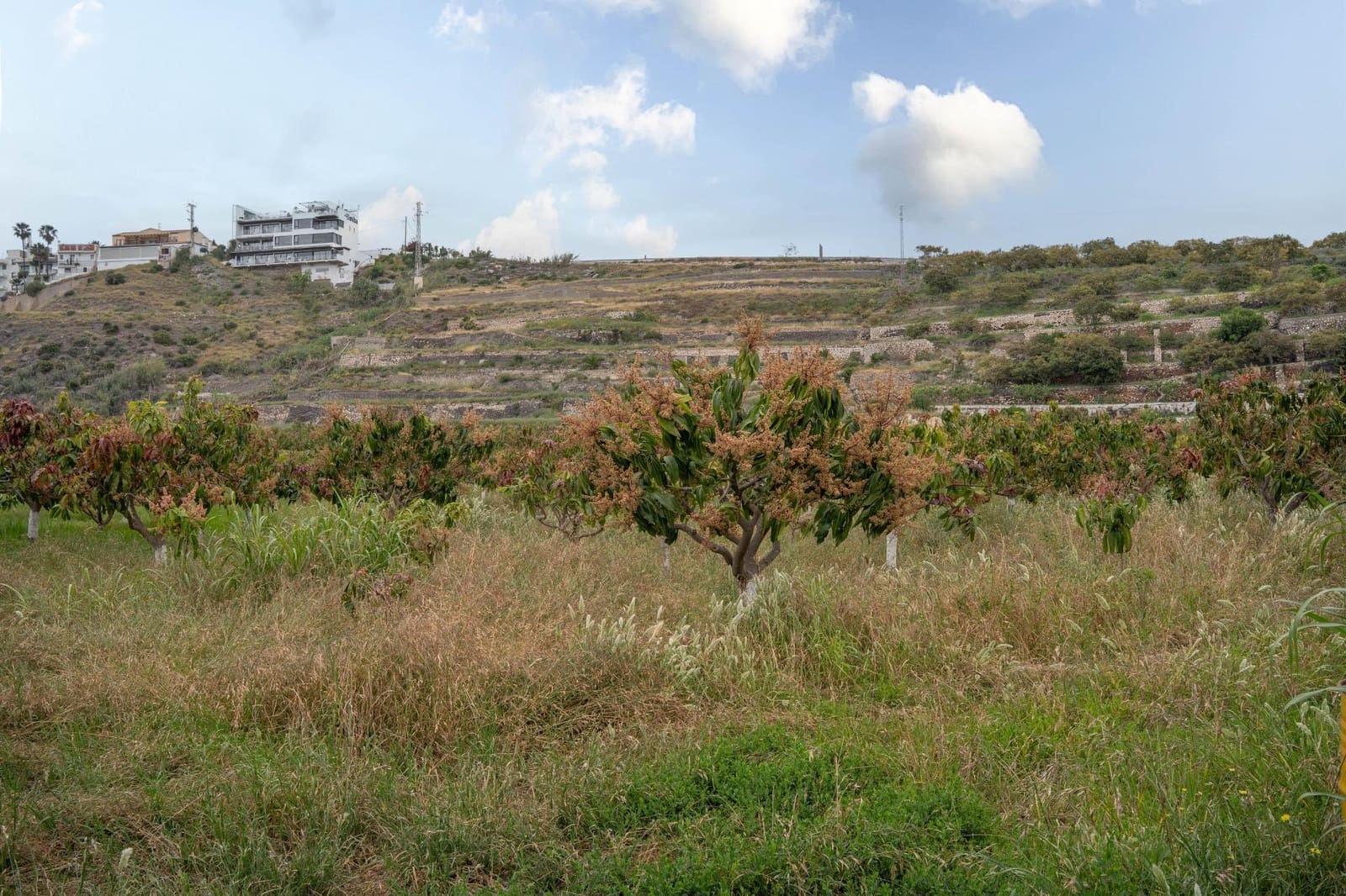 Działka budowlana na sprzedaż w Salobrena - 2 000 000 € (Ref: 9440695)