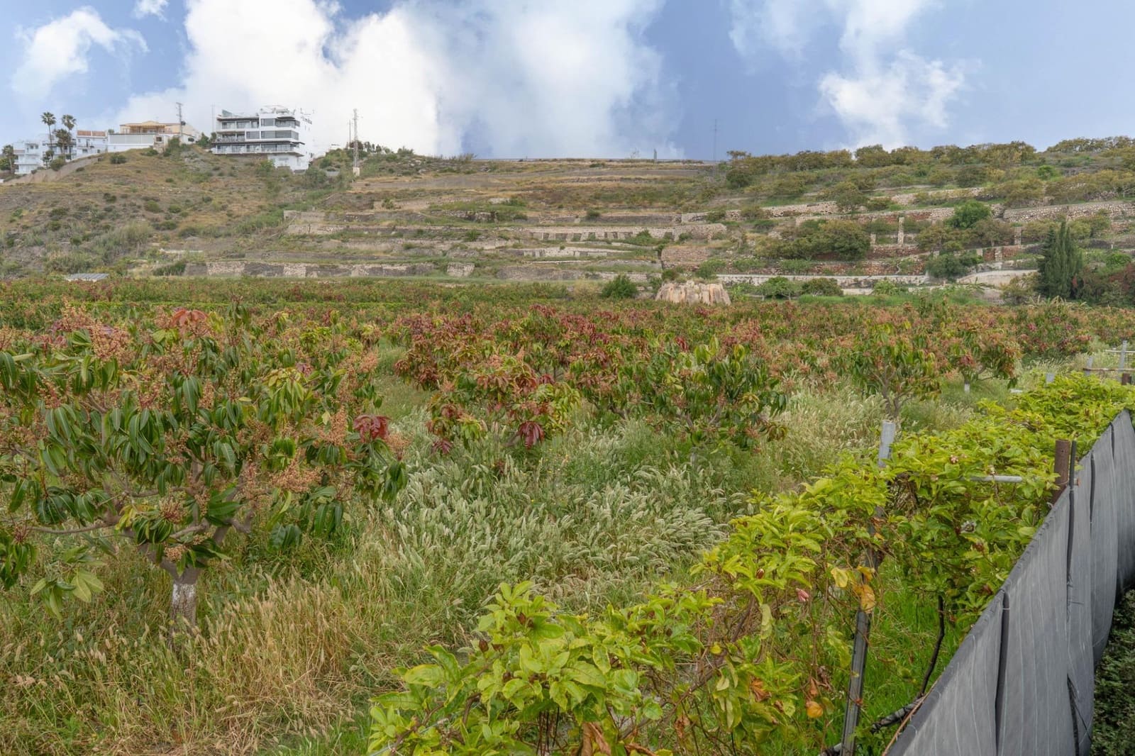 Działka budowlana na sprzedaż w Salobrena - 2 000 000 € (Ref: 9440695)