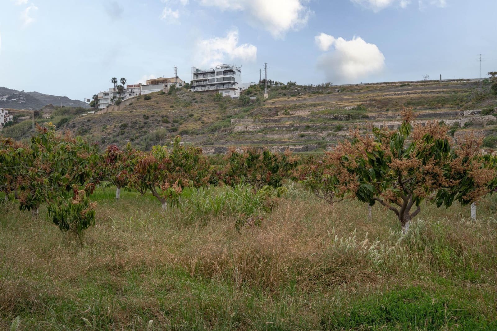 Działka budowlana na sprzedaż w Salobrena - 2 000 000 € (Ref: 9440695)