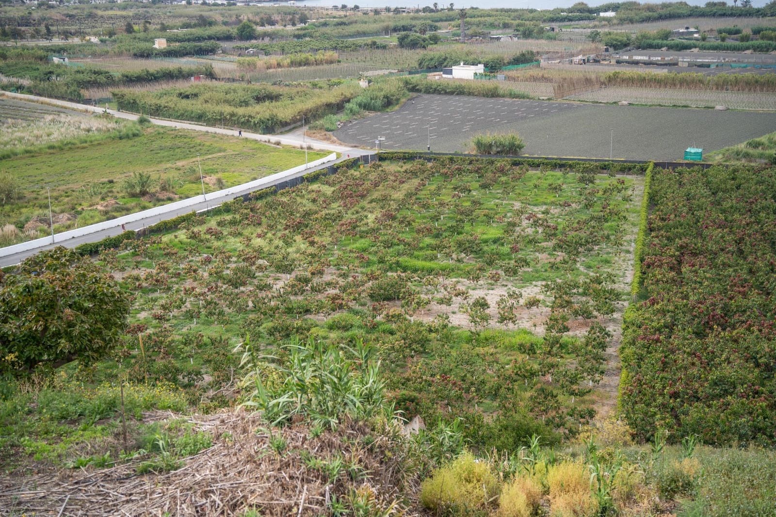 Działka budowlana na sprzedaż w Salobrena - 2 000 000 € (Ref: 9440695)