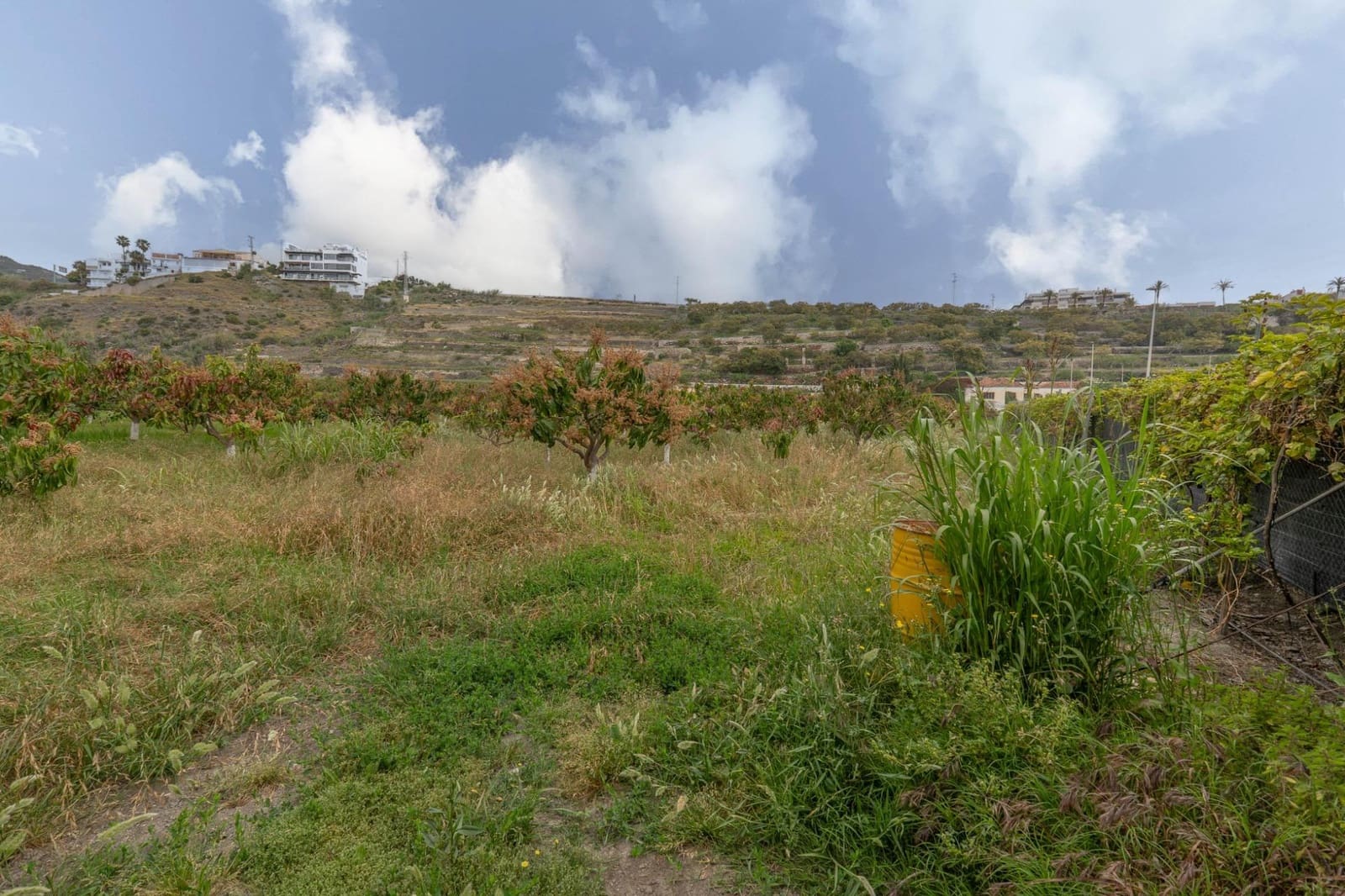 Działka budowlana na sprzedaż w Salobrena - 2 000 000 € (Ref: 9440695)