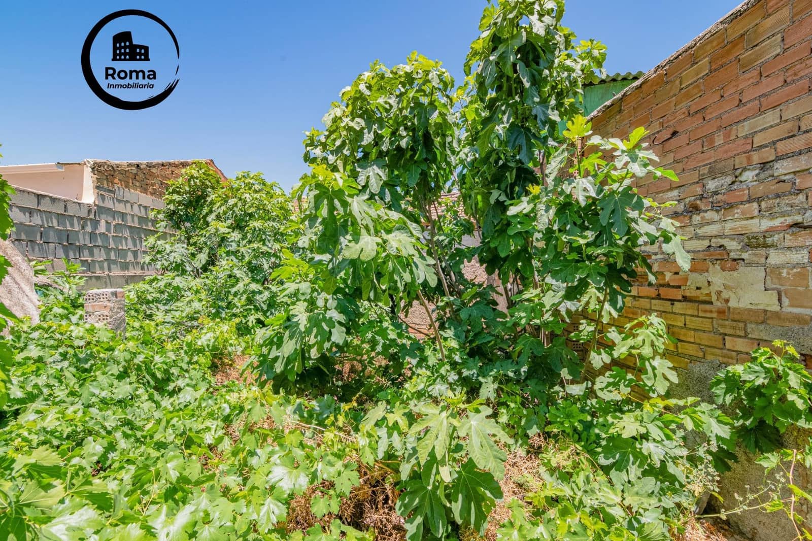 5 sovrum Radhus till salu i Cijuela - 78 000 € (Ref: 9446482)