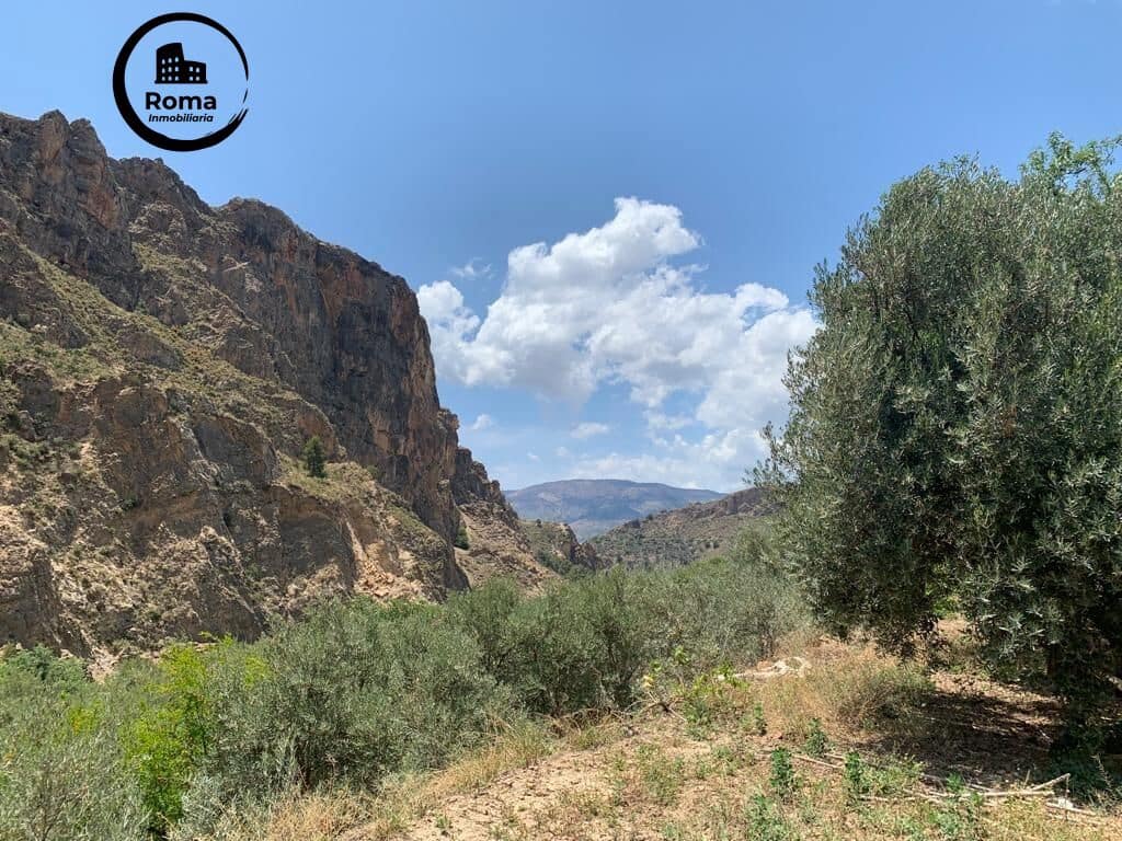 Undeveloped Land for sale in Lanjaron - € 79,900 (Ref: 9449441)