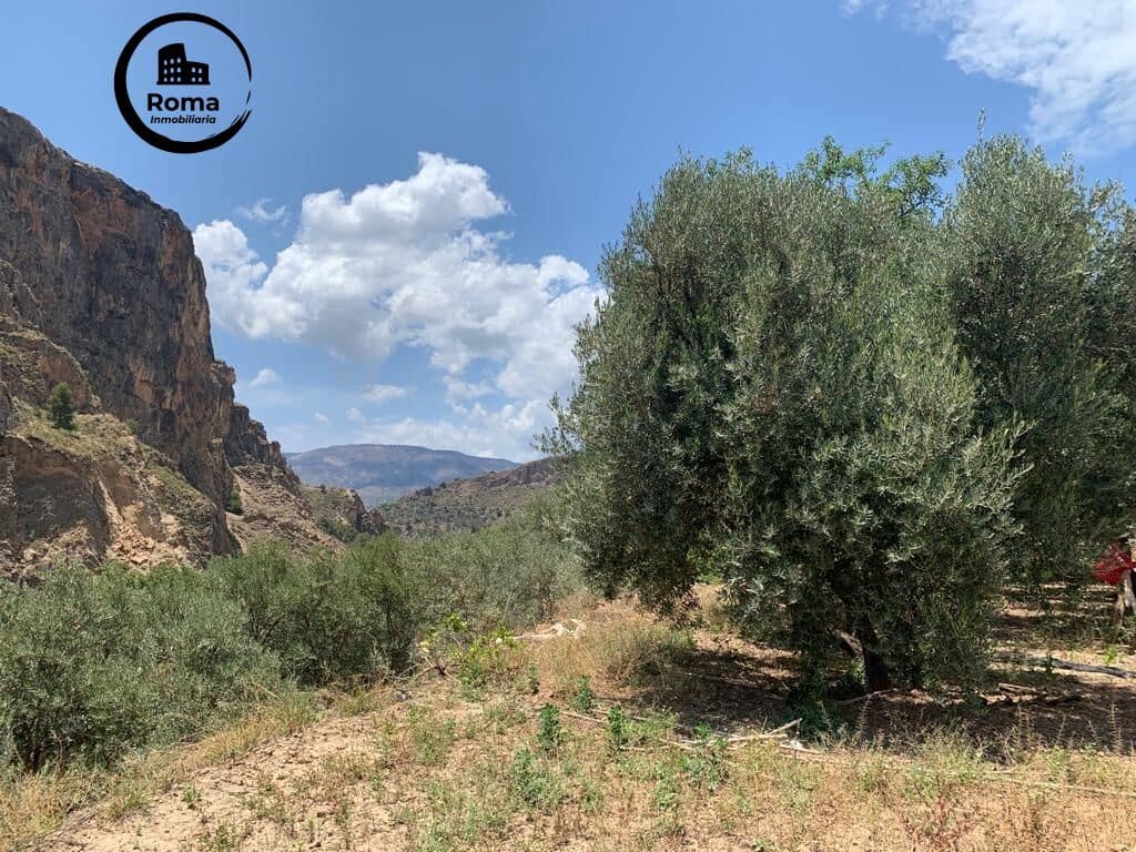 Undeveloped Land for sale in Lanjaron - € 79,900 (Ref: 9449441)