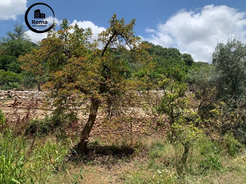 Undeveloped Land for sale in Lanjaron - € 79,900 (Ref: 9449441)