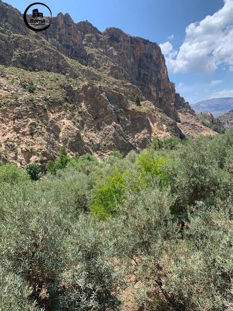 Undeveloped Land for sale in Lanjaron - € 79,900 (Ref: 9449441)