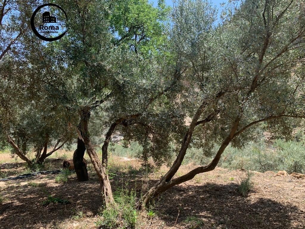 Undeveloped Land for sale in Lanjaron - € 79,900 (Ref: 9449441)