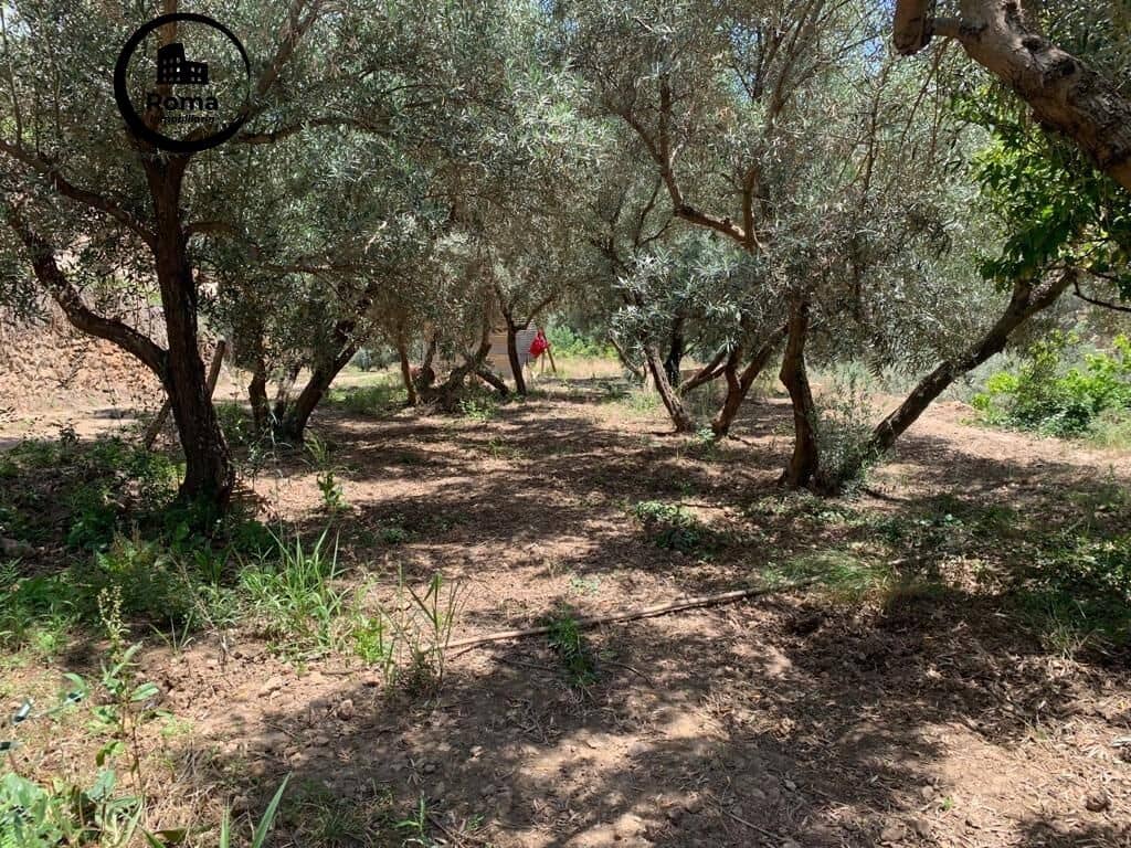 Undeveloped Land for sale in Lanjaron - € 79,900 (Ref: 9449441)