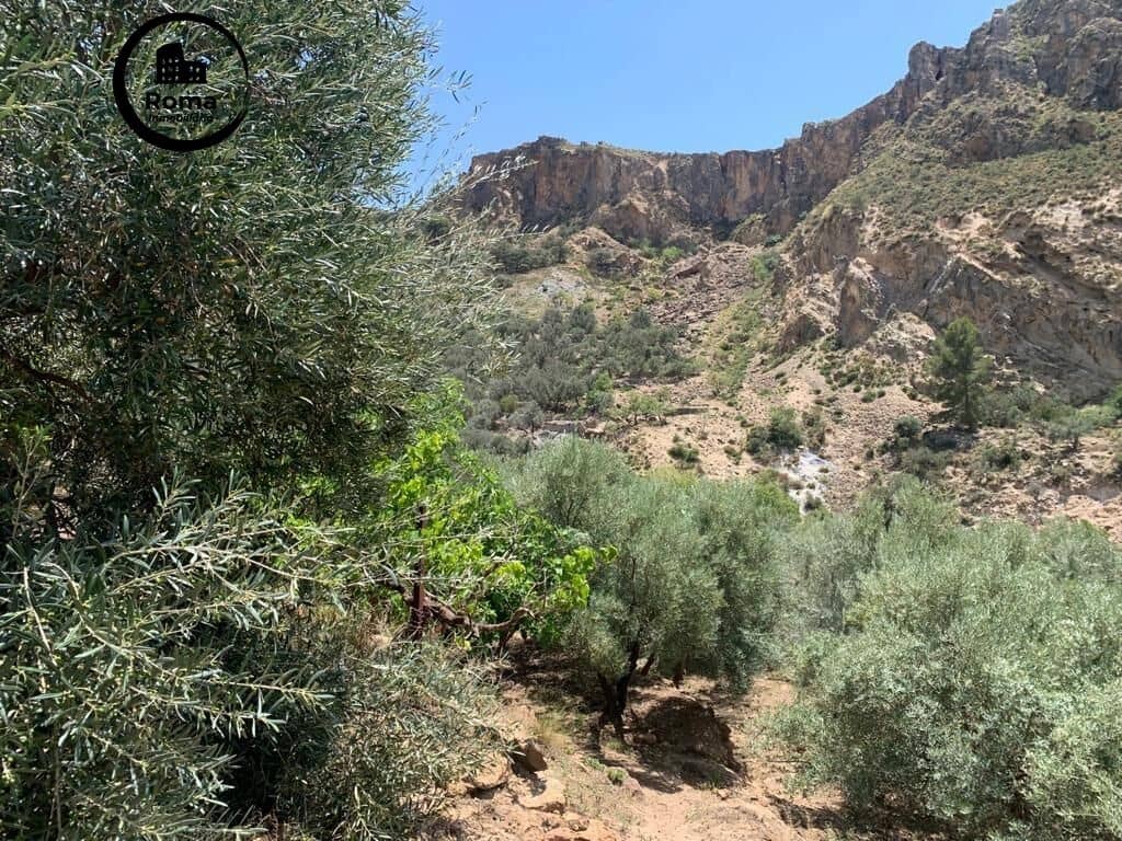 Undeveloped Land for sale in Lanjaron - € 79,900 (Ref: 9449441)