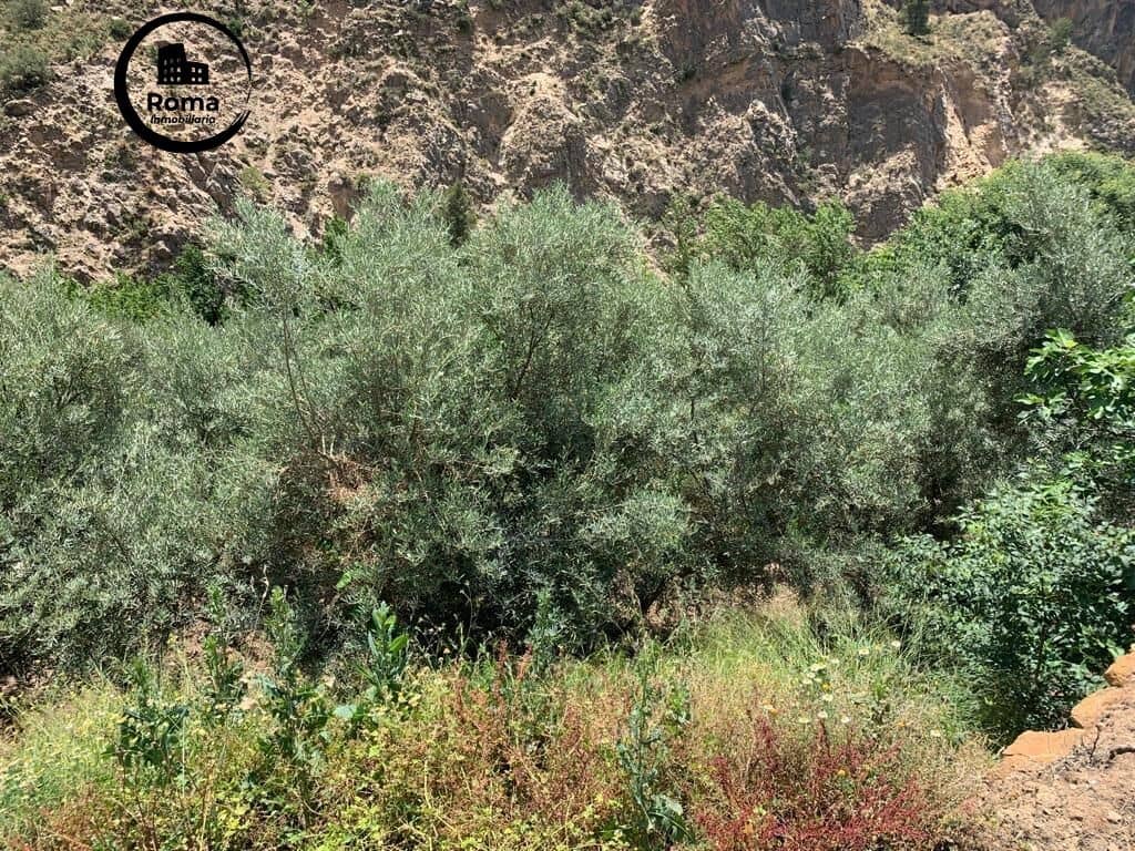 Undeveloped Land for sale in Lanjaron - € 79,900 (Ref: 9449441)