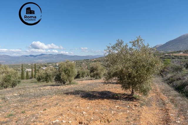 Grunde uden byggetilladelser til salg i Cogollos Vega - € 60.000 (Ref: 9449447)