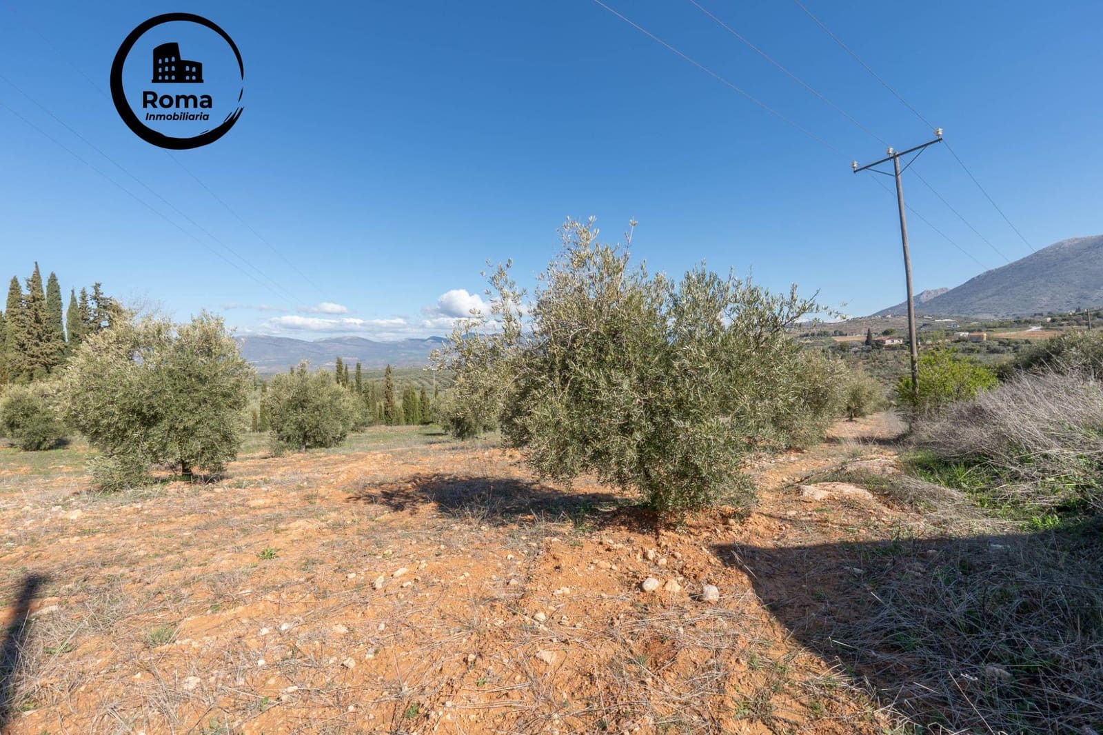 Grunde uden byggetilladelser til salg i Cogollos Vega - € 60.000 (Ref: 9449447)