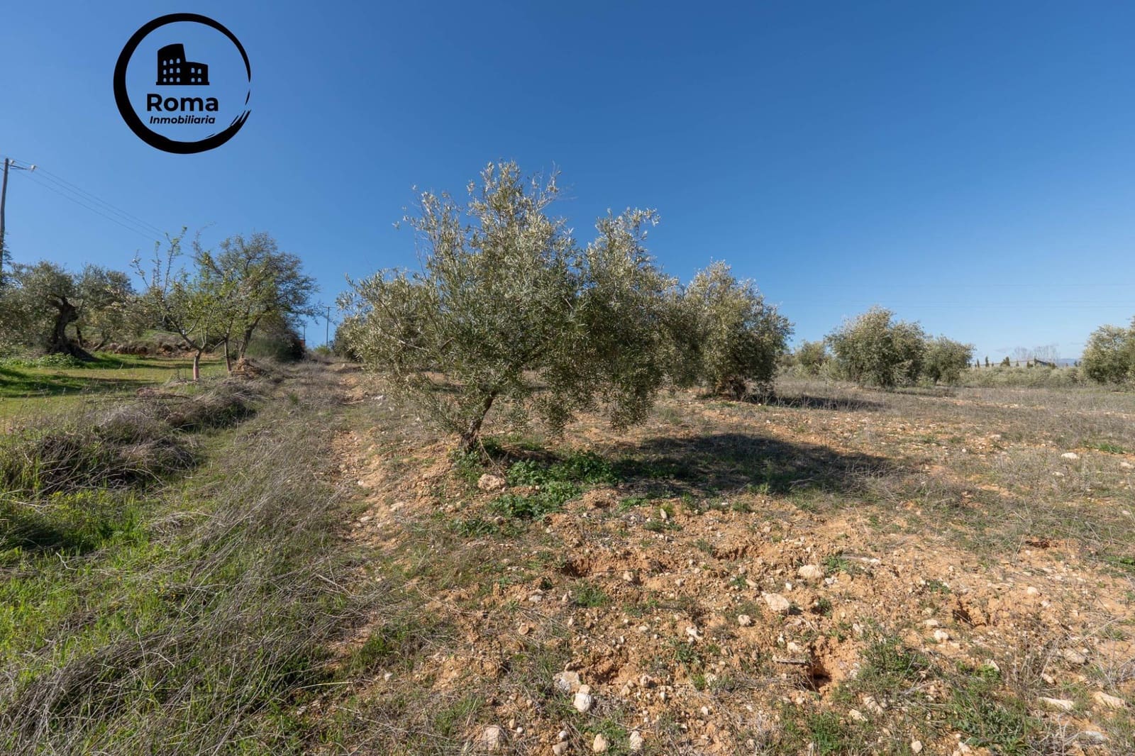 Grunde uden byggetilladelser til salg i Cogollos Vega - € 60.000 (Ref: 9449447)