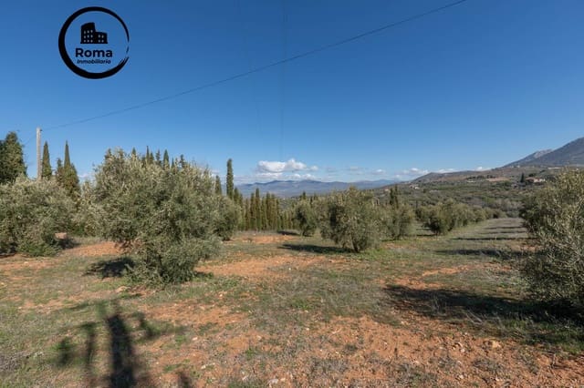 Grunde uden byggetilladelser til salg i Cogollos Vega - € 60.000 (Ref: 9449447)