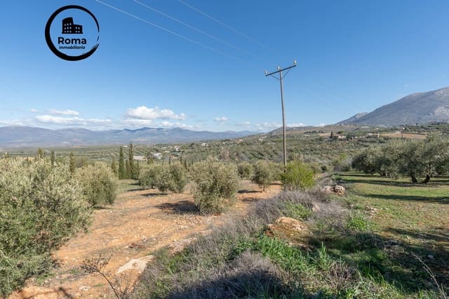 Grunde uden byggetilladelser til salg i Cogollos Vega - € 60.000 (Ref: 9449447)