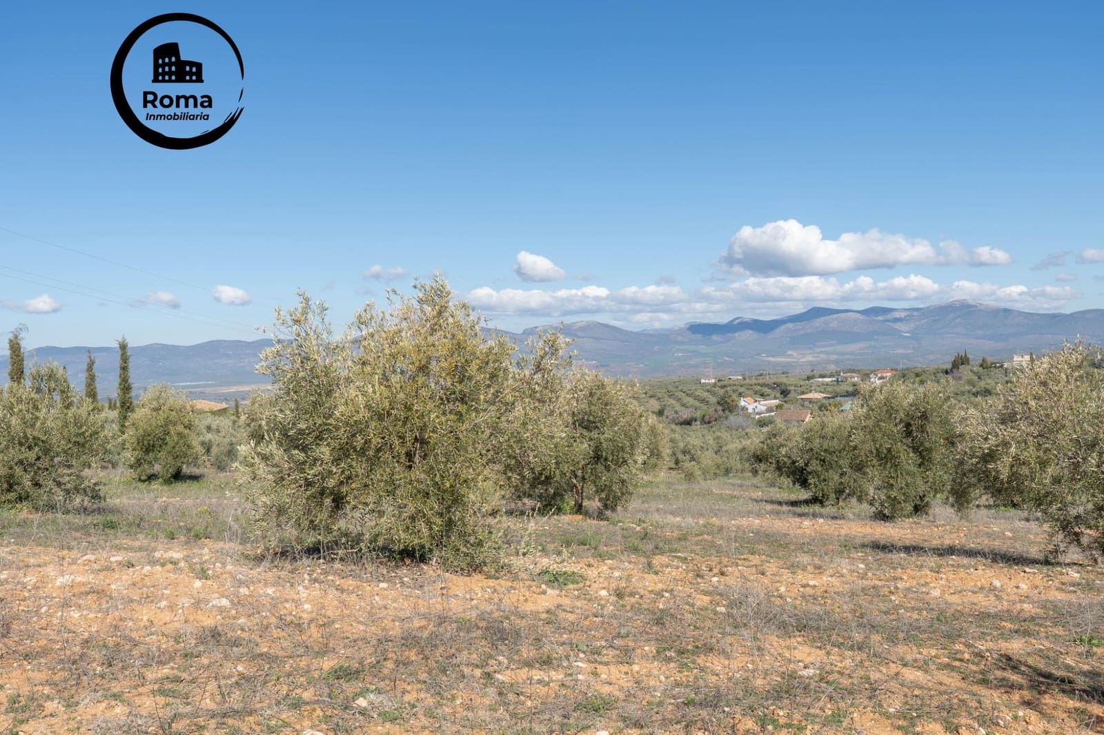 Grunde uden byggetilladelser til salg i Cogollos Vega - € 60.000 (Ref: 9449447)