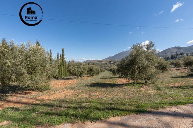 Grunde uden byggetilladelser til salg i Cogollos Vega - € 60.000 (Ref: 9449447)