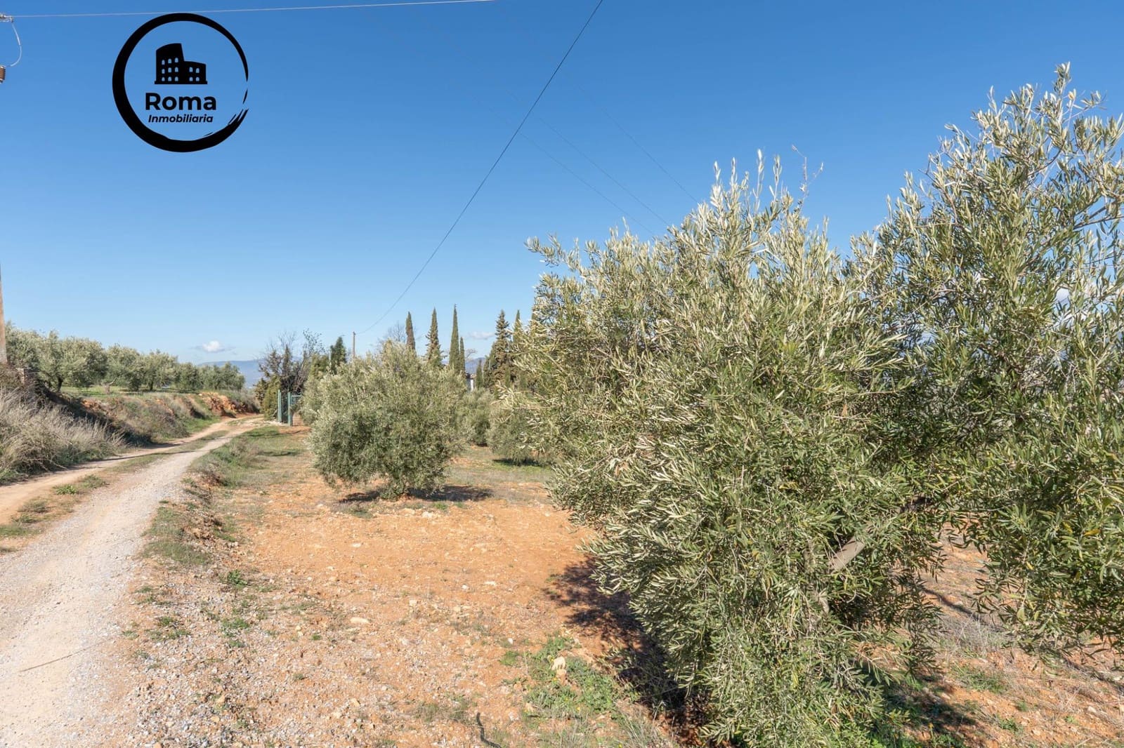 Grunde uden byggetilladelser til salg i Cogollos Vega - € 60.000 (Ref: 9449447)