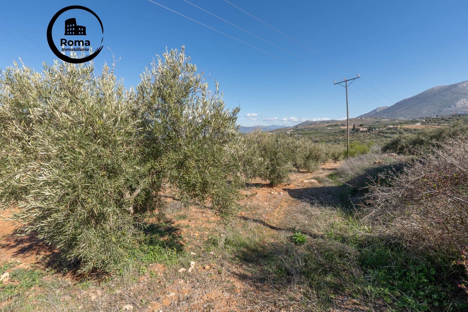 Grunde uden byggetilladelser til salg i Cogollos Vega - € 60.000 (Ref: 9449447)