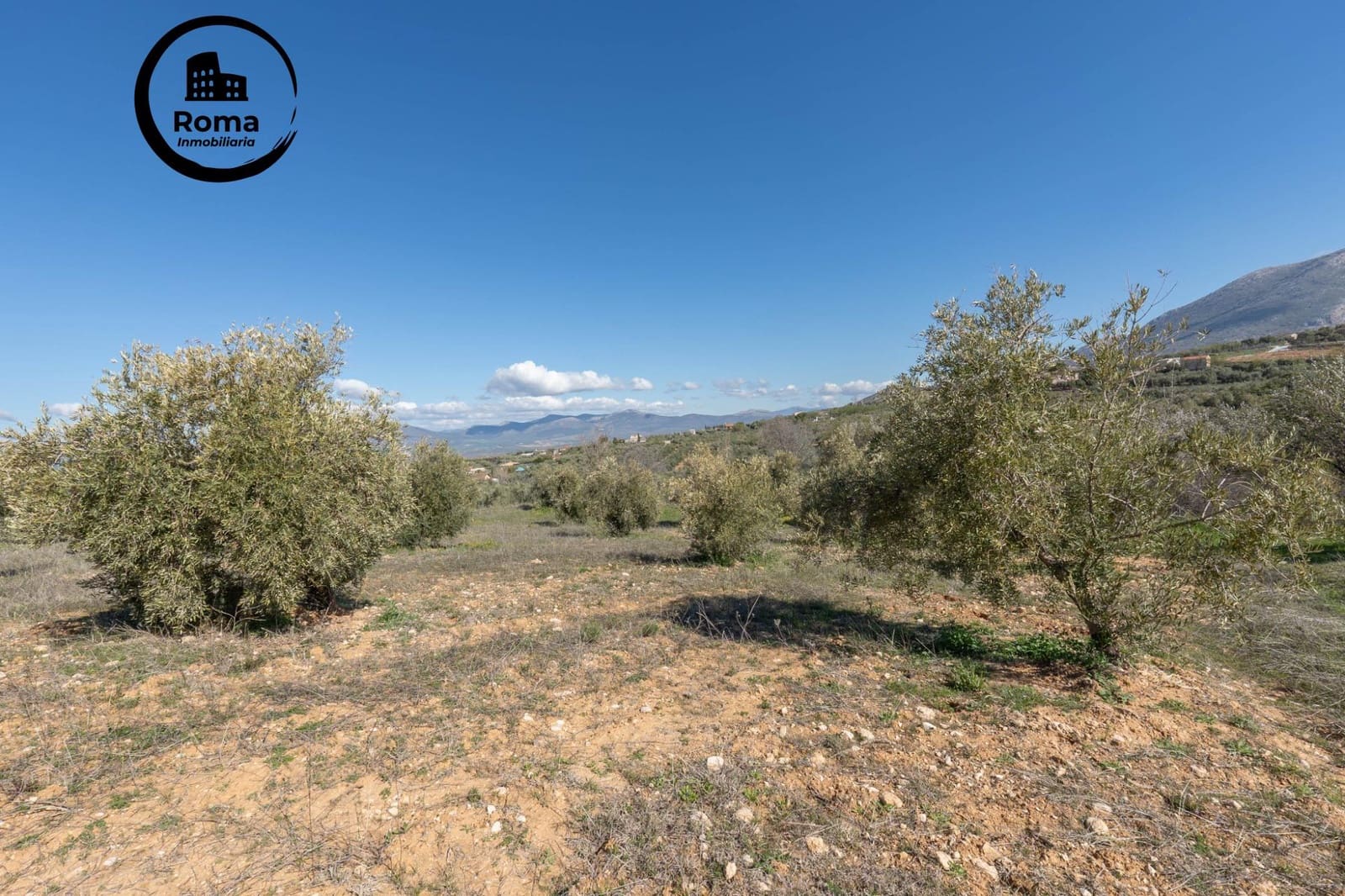 Grunde uden byggetilladelser til salg i Cogollos Vega - € 60.000 (Ref: 9449447)