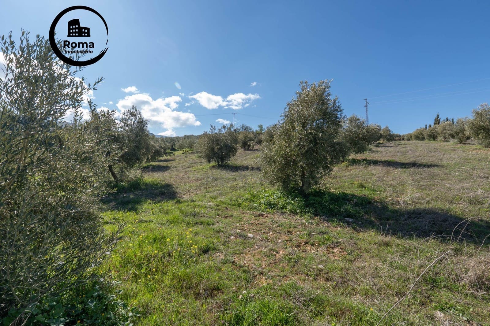 Grunde uden byggetilladelser til salg i Cogollos Vega - € 60.000 (Ref: 9449447)