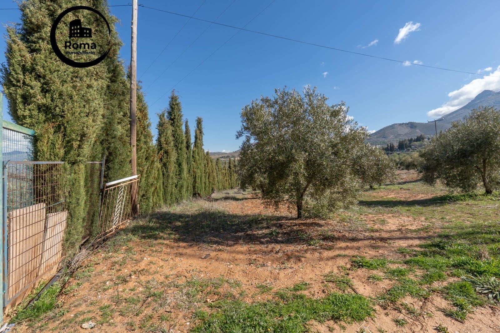 Grunde uden byggetilladelser til salg i Cogollos Vega - € 60.000 (Ref: 9449447)