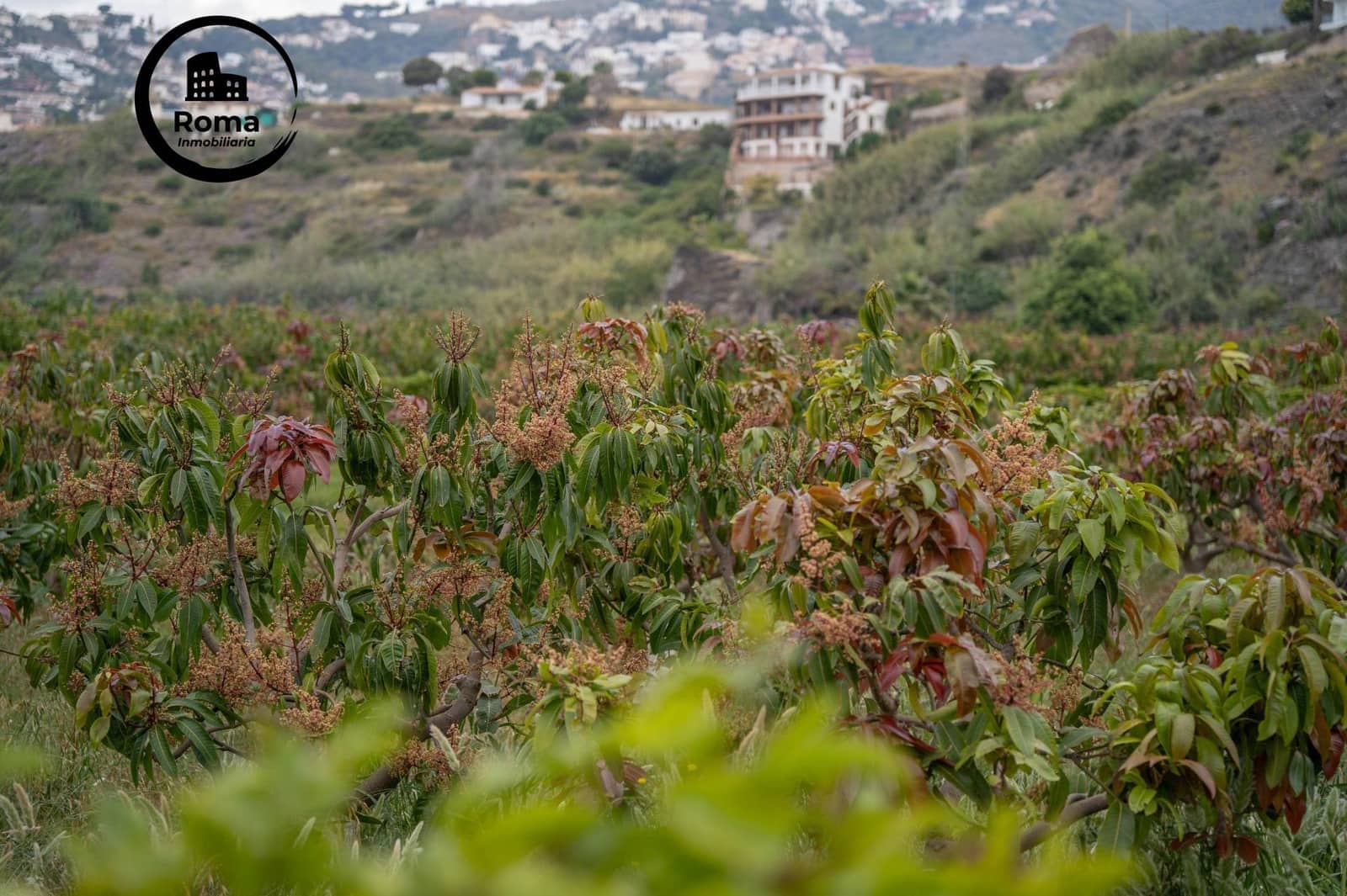 Byggetomt til salgs i Salobrena - € 2 000 000 (Ref: 9449449)