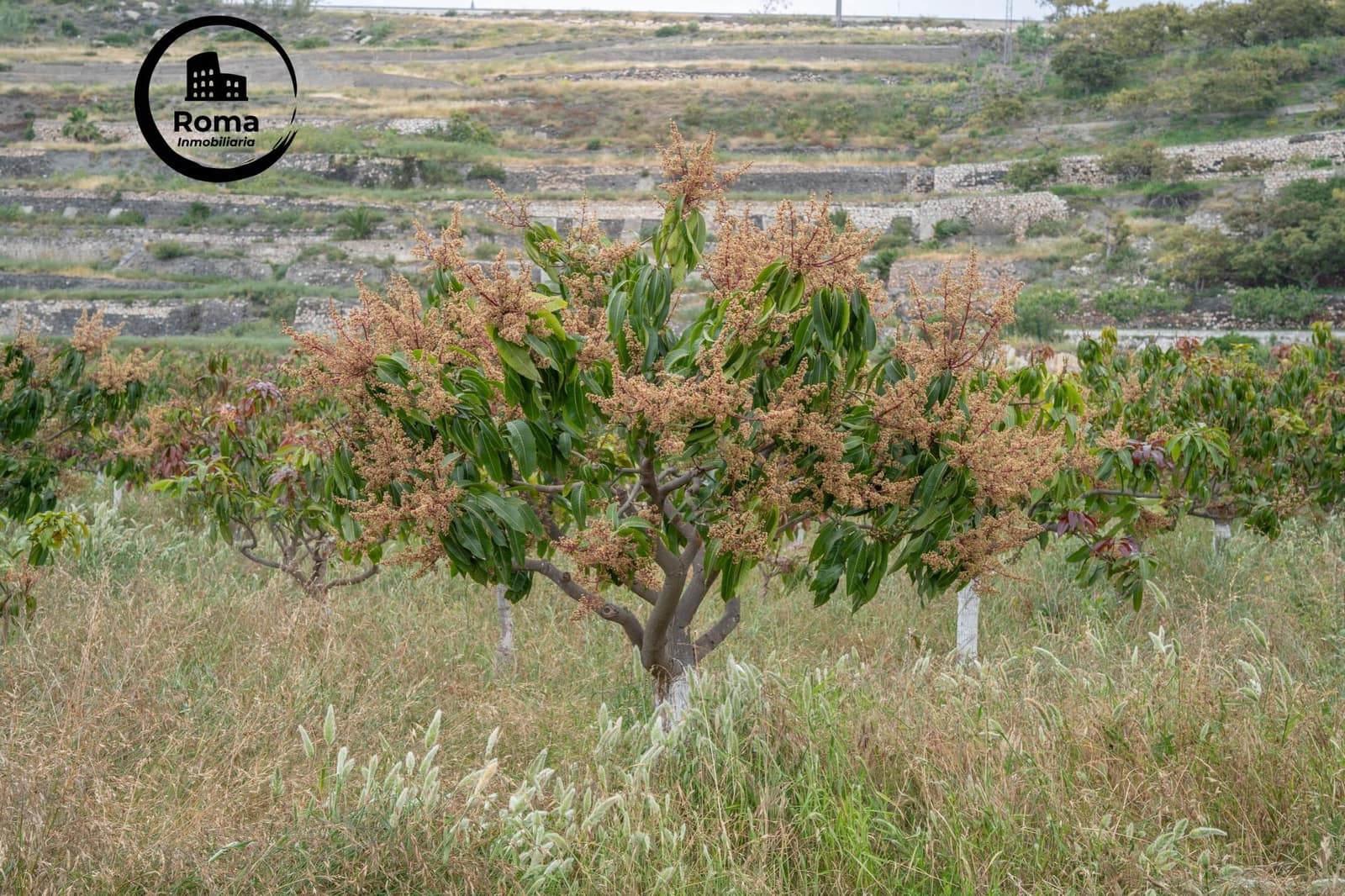 Byggetomt til salgs i Salobrena - € 2 000 000 (Ref: 9449449)