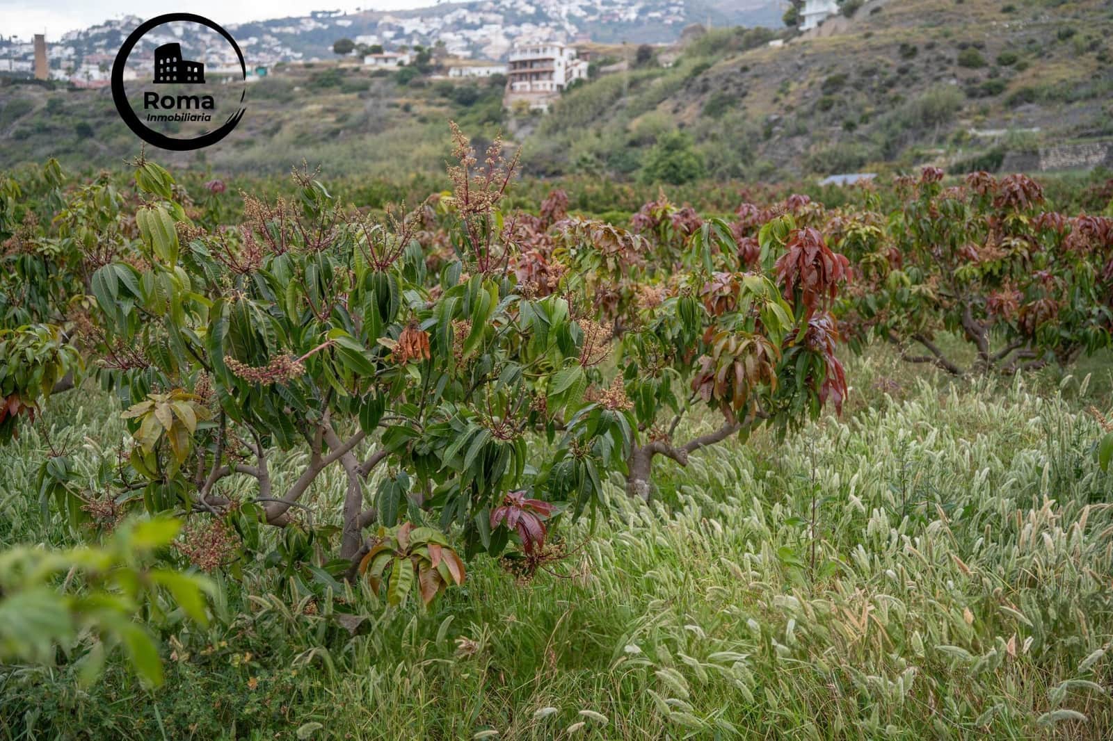 Byggetomt til salgs i Salobrena - € 2 000 000 (Ref: 9449449)