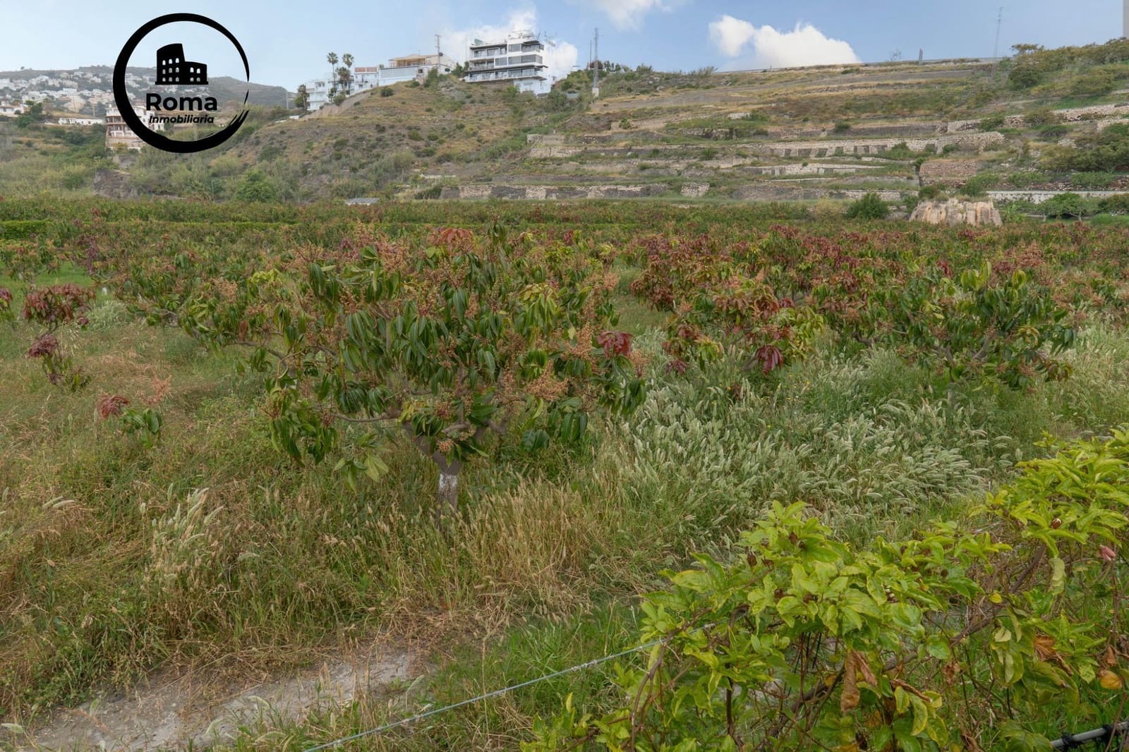 Byggetomt til salgs i Salobrena - € 2 000 000 (Ref: 9449449)