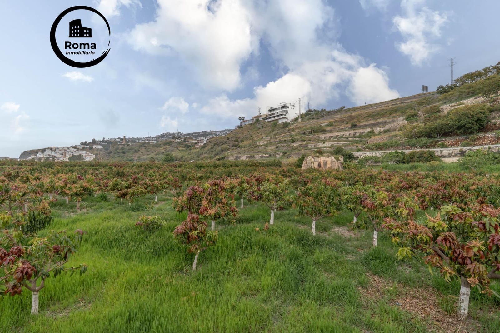 Byggetomt til salgs i Salobrena - € 2 000 000 (Ref: 9449449)