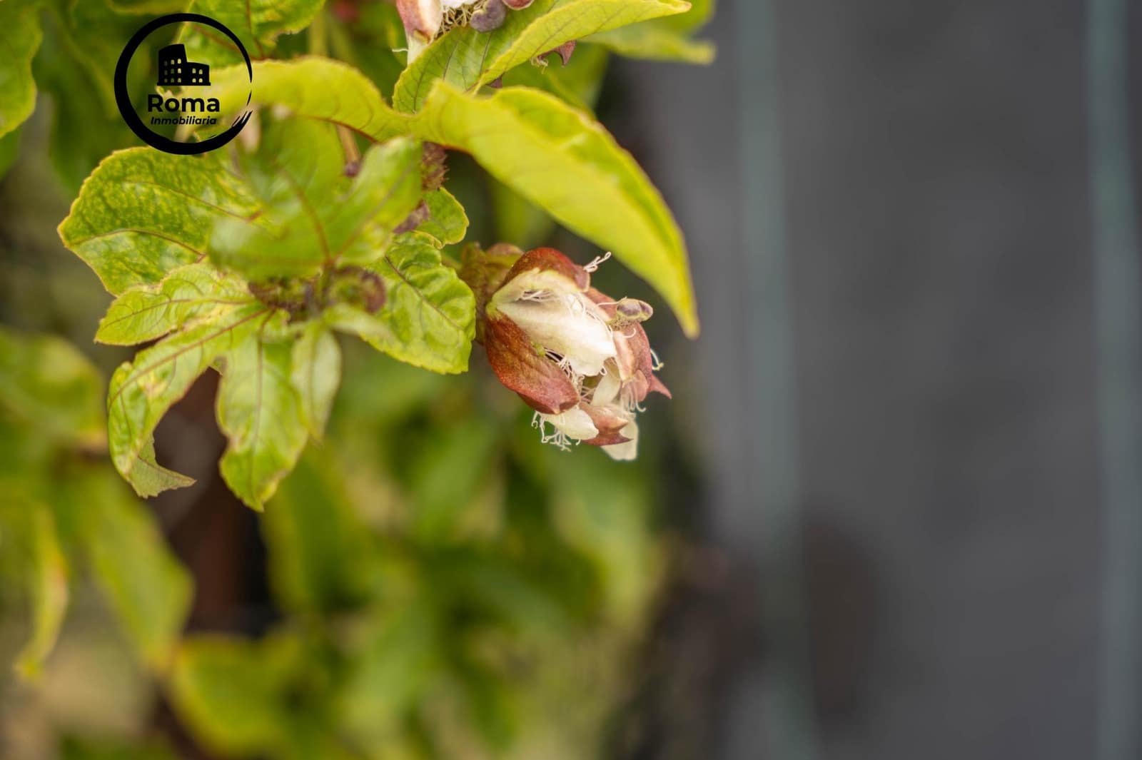 Byggetomt til salgs i Salobrena - € 2 000 000 (Ref: 9449449)