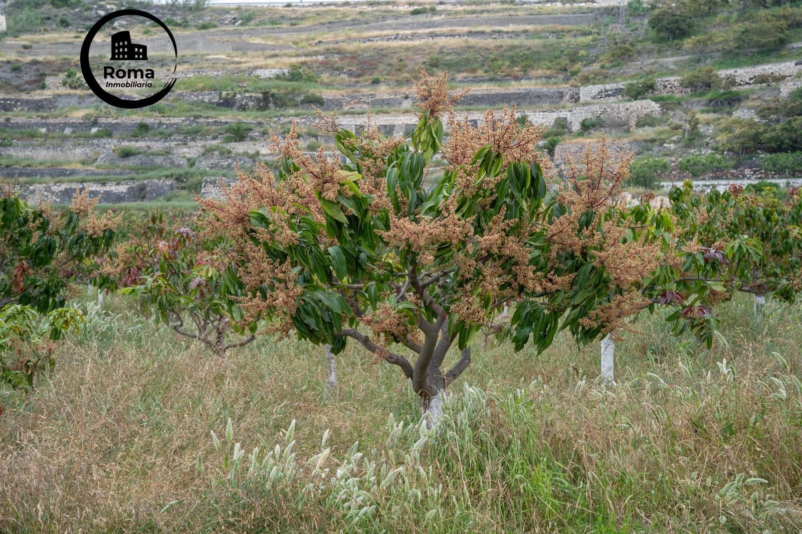 Byggetomt til salgs i Salobrena - € 2 000 000 (Ref: 9449449)