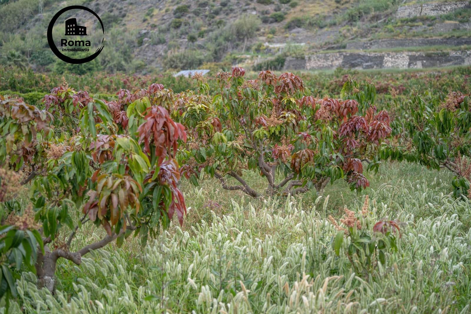 Byggetomt til salgs i Salobrena - € 2 000 000 (Ref: 9449449)