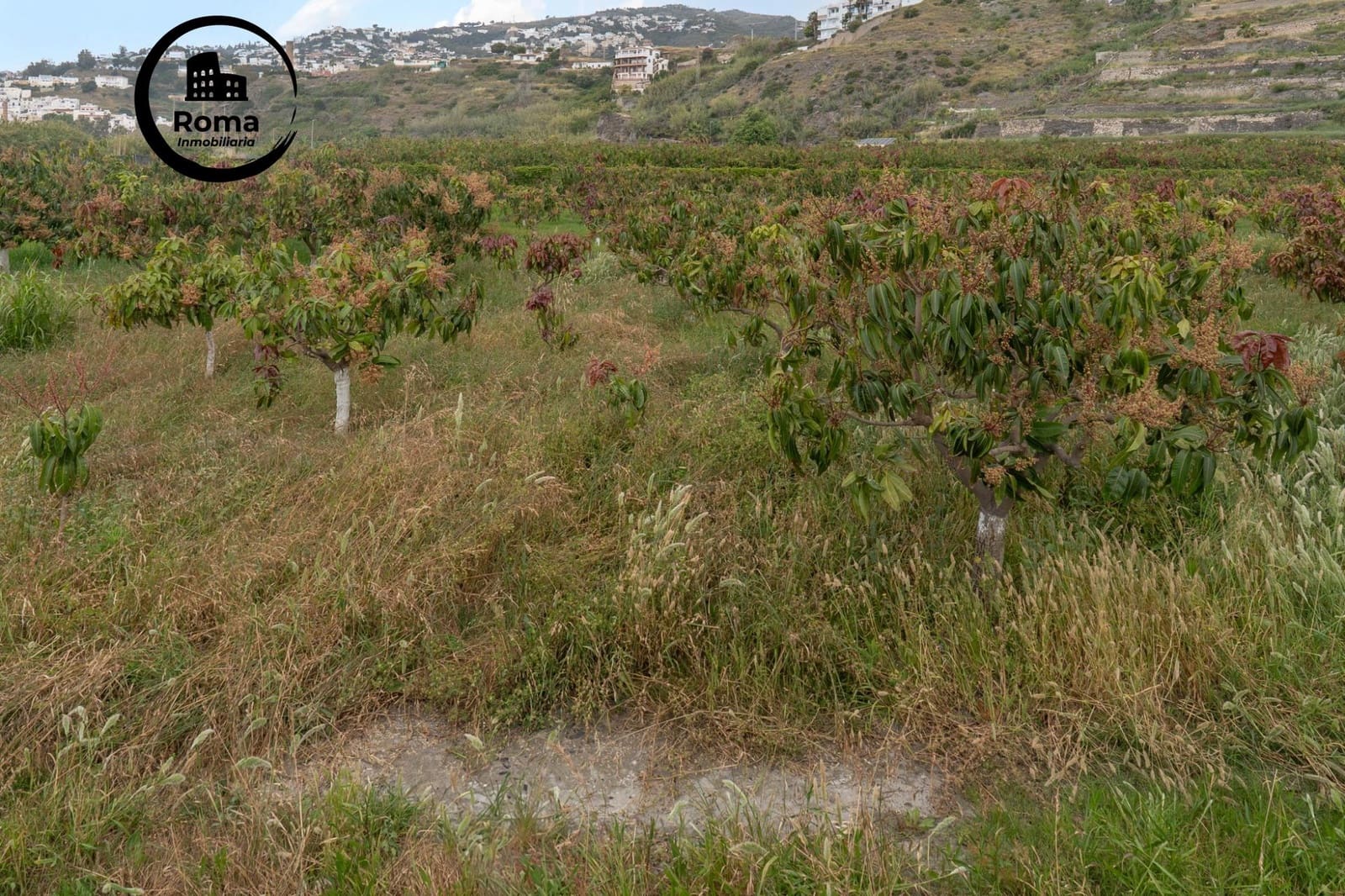 Byggetomt til salgs i Salobrena - € 2 000 000 (Ref: 9449449)