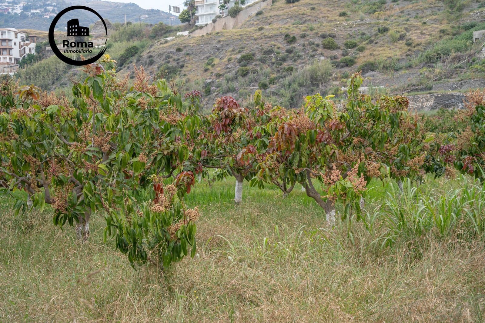 Byggetomt til salgs i Salobrena - € 2 000 000 (Ref: 9449449)