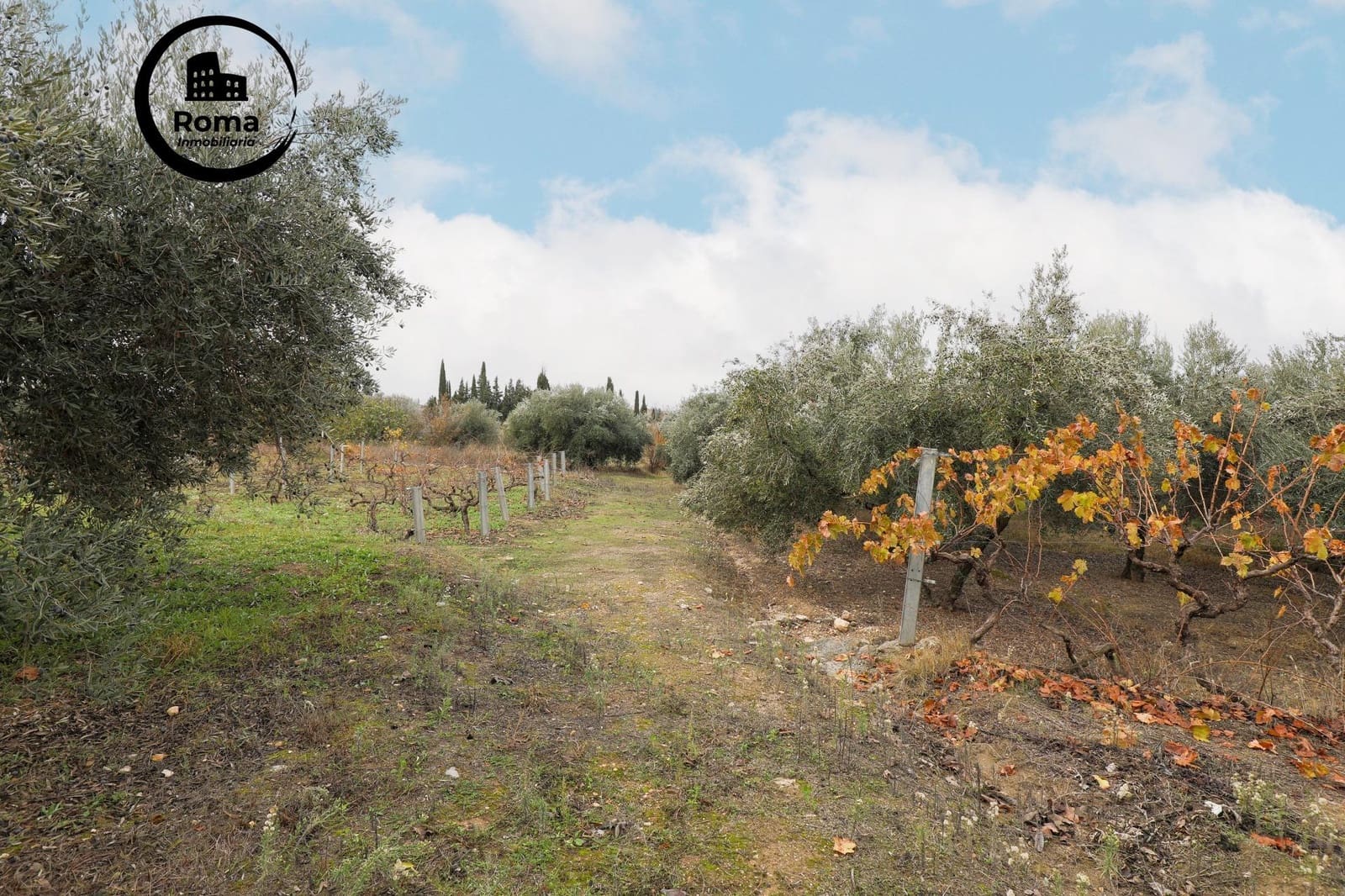 Finca/Landhuis te koop in Gojar met garage - € 208.000 (Ref: 9450307)